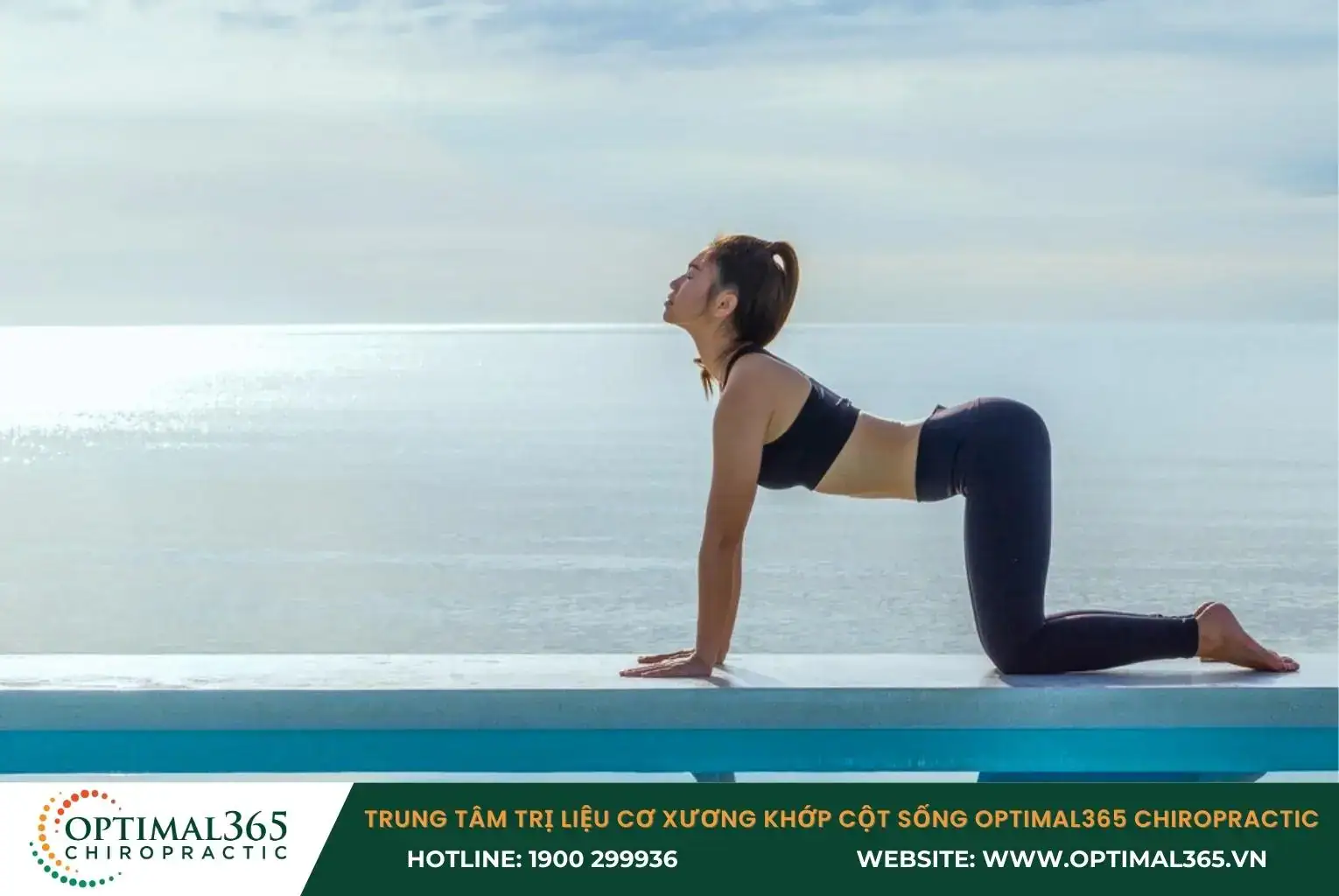 Tư thế mèo - bò (Cat- Cow Pose)