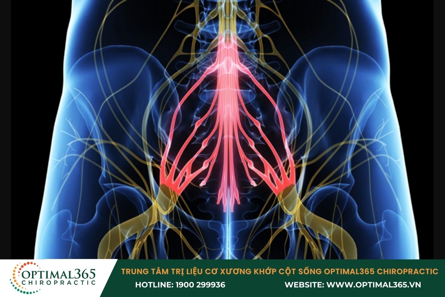 Các biến chứng nguy hiểm của thoát vị đĩa đệm cột sống thắt lưng