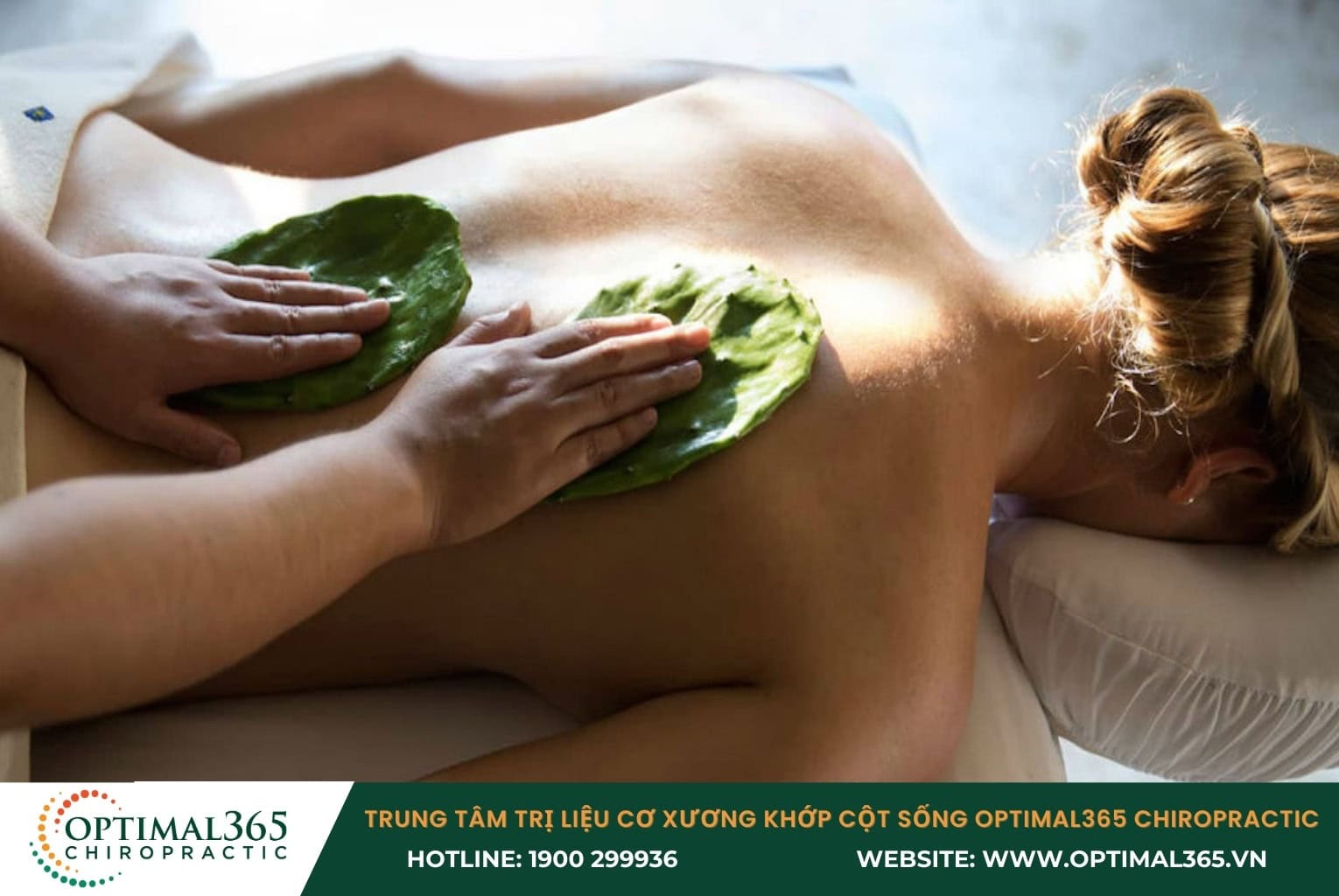 Điều trị thoát vị đĩa đệm tại nhà bằng cây xương rồng