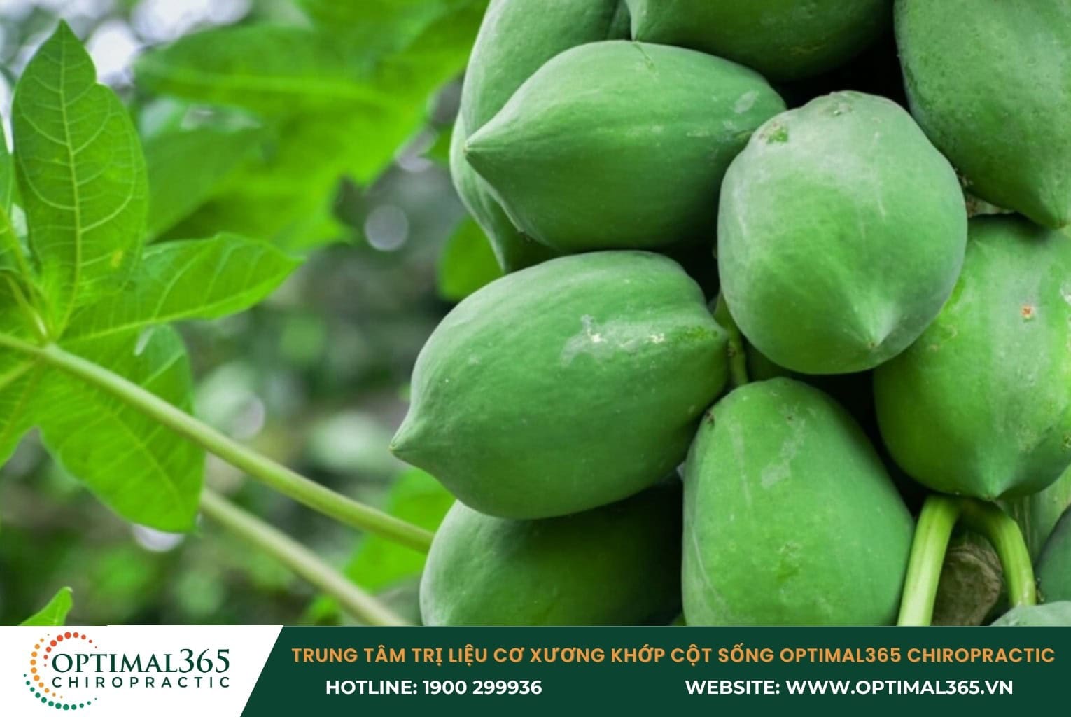 8 Phương pháp điều trị thoát vị đĩa đệm bằng Đông Y