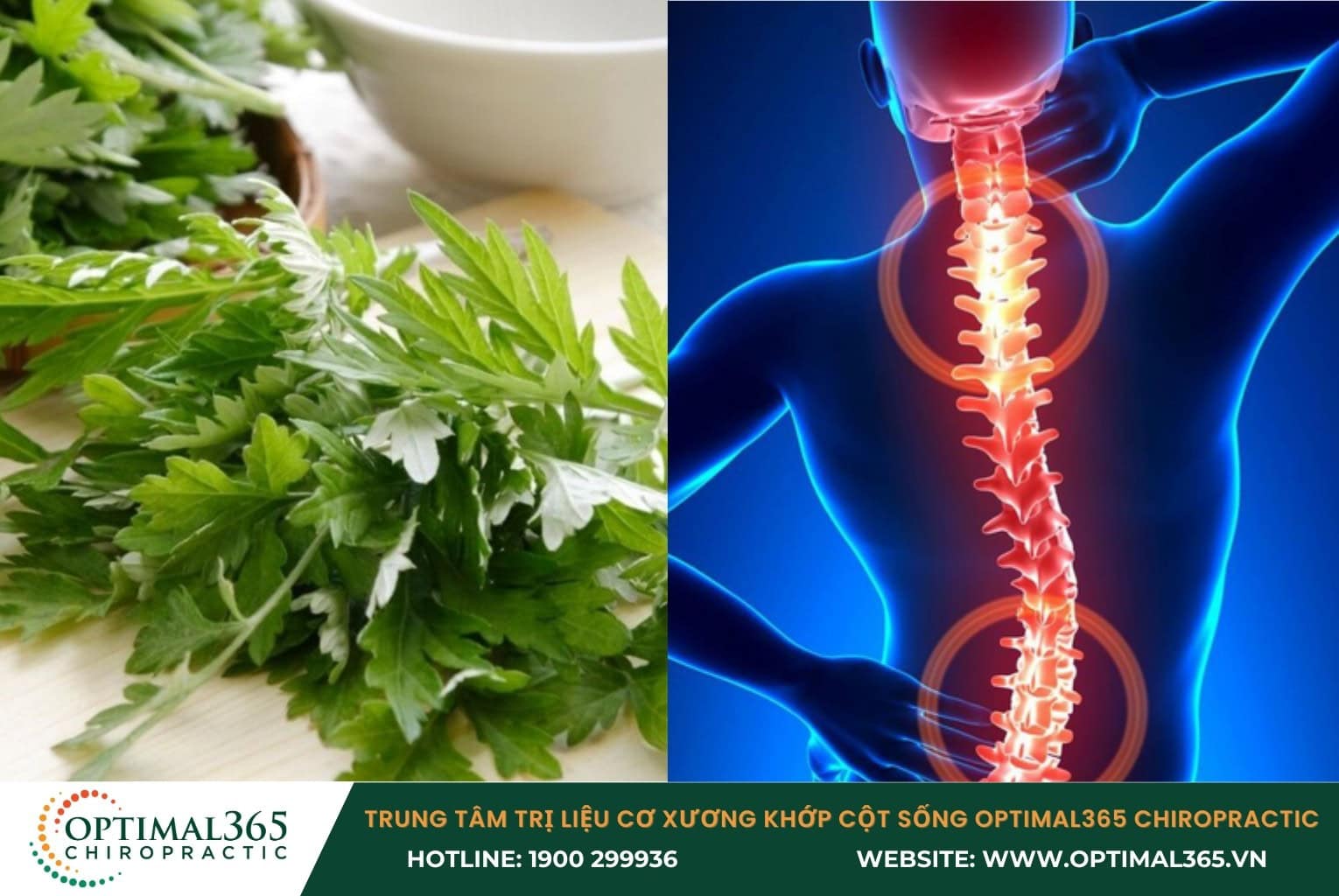 Chữa thoát vị đĩa đệm bằng Đông y có hiệu quả hay không?