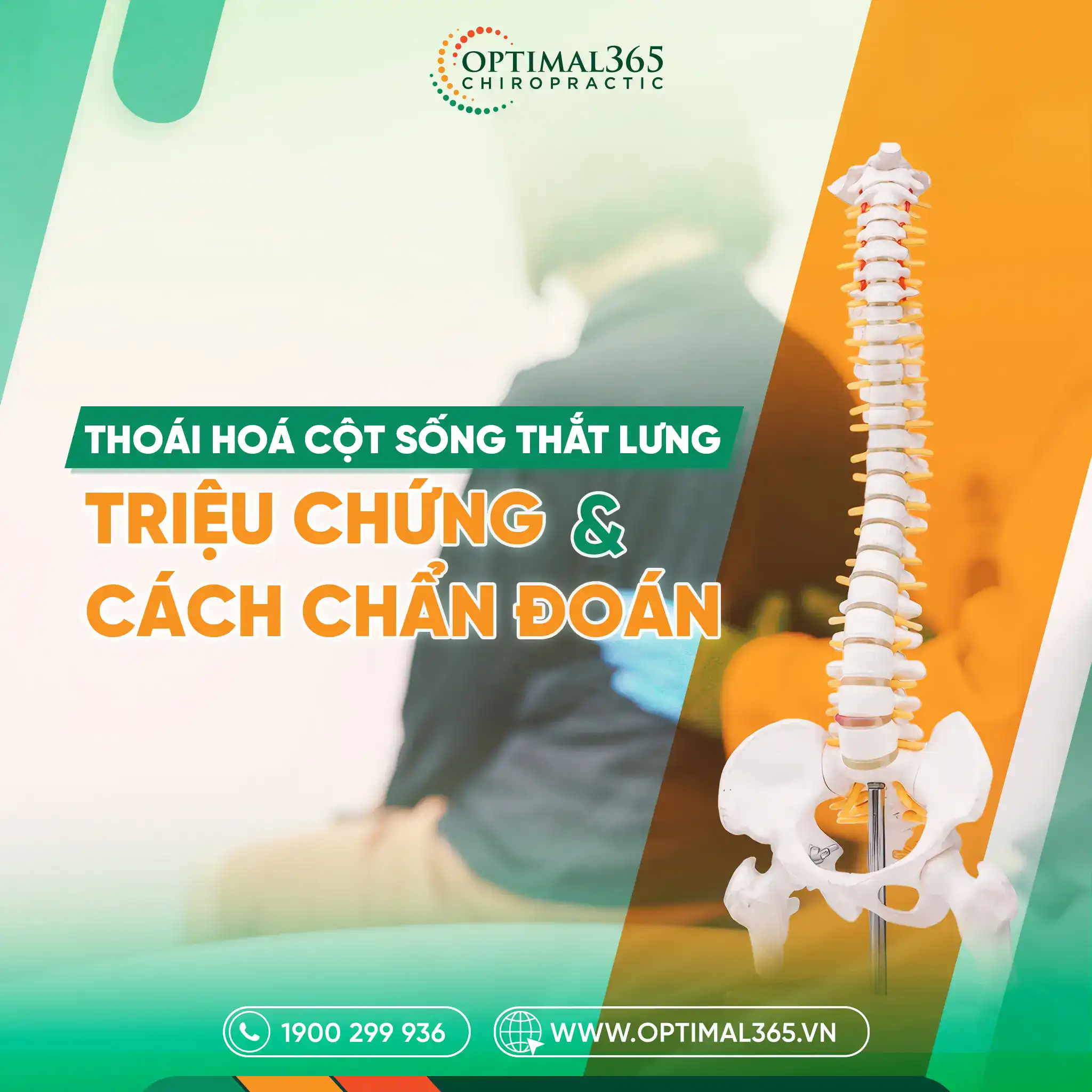 Thoái Hóa Cột Sống Thắt Lưng: Triệu Chứng, Nguyên Nhân, Cách Chẩn Đoán Và Điều Trị