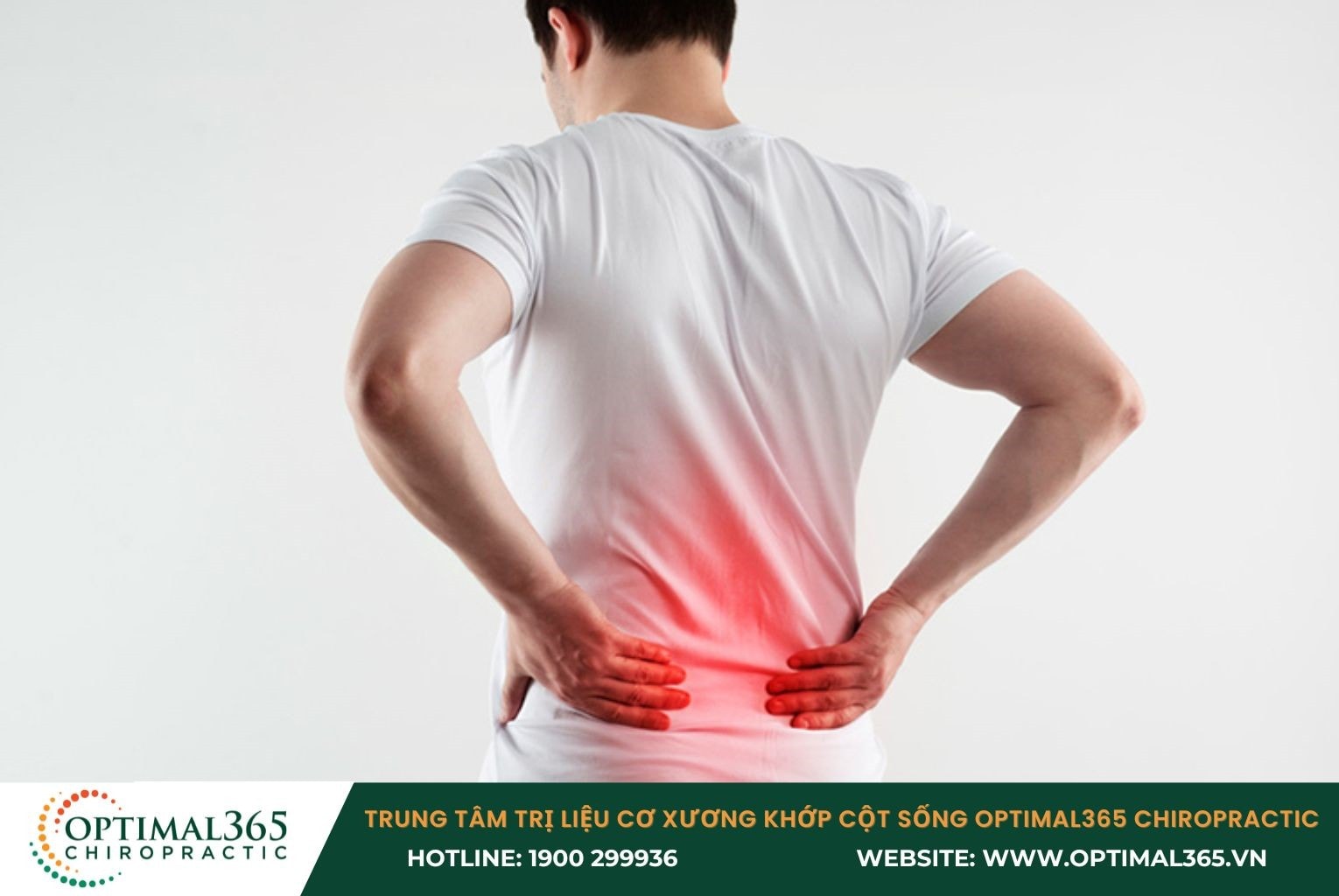 Các trường hợp chỉ định