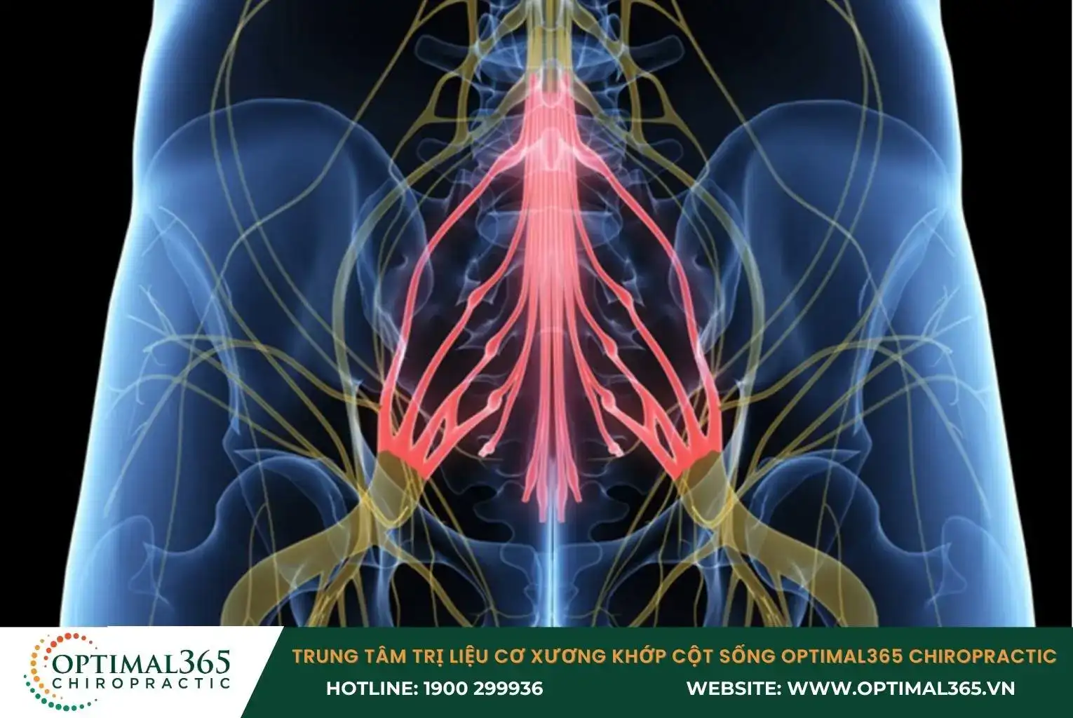Triệu chứng tổn thương đuôi ngựa tương tự tổn thương tủy sống
