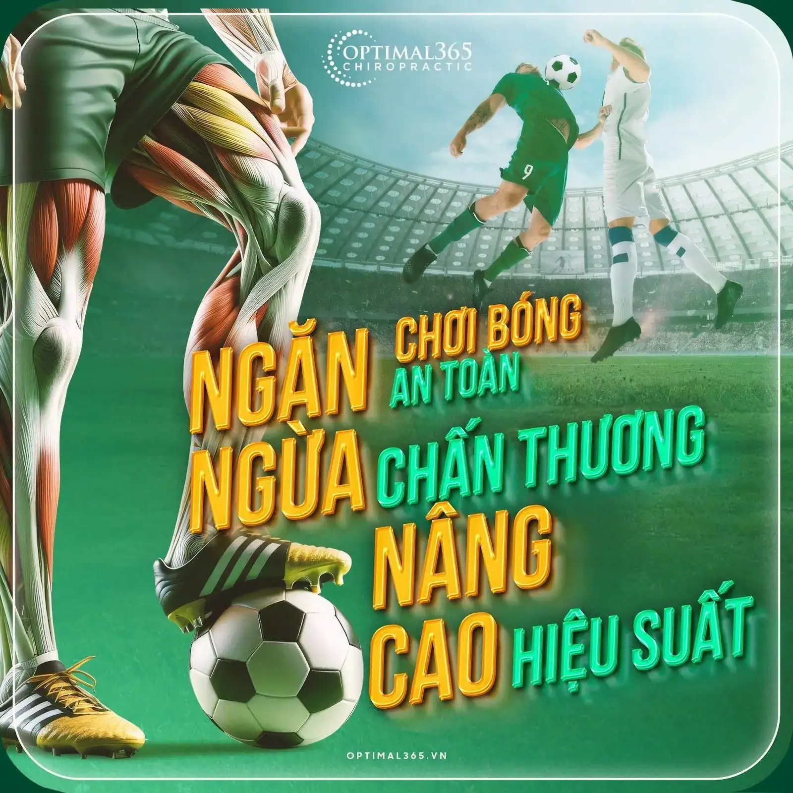 Injury Prevention with Chiropractic