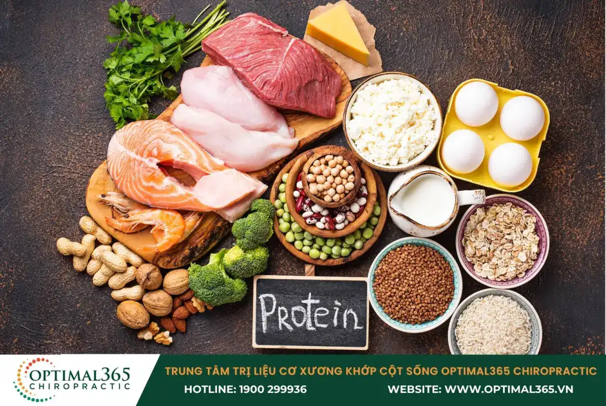 Bổ sung đầy đủ protein để nuôi dưỡng xương khớp khỏe mạnh
