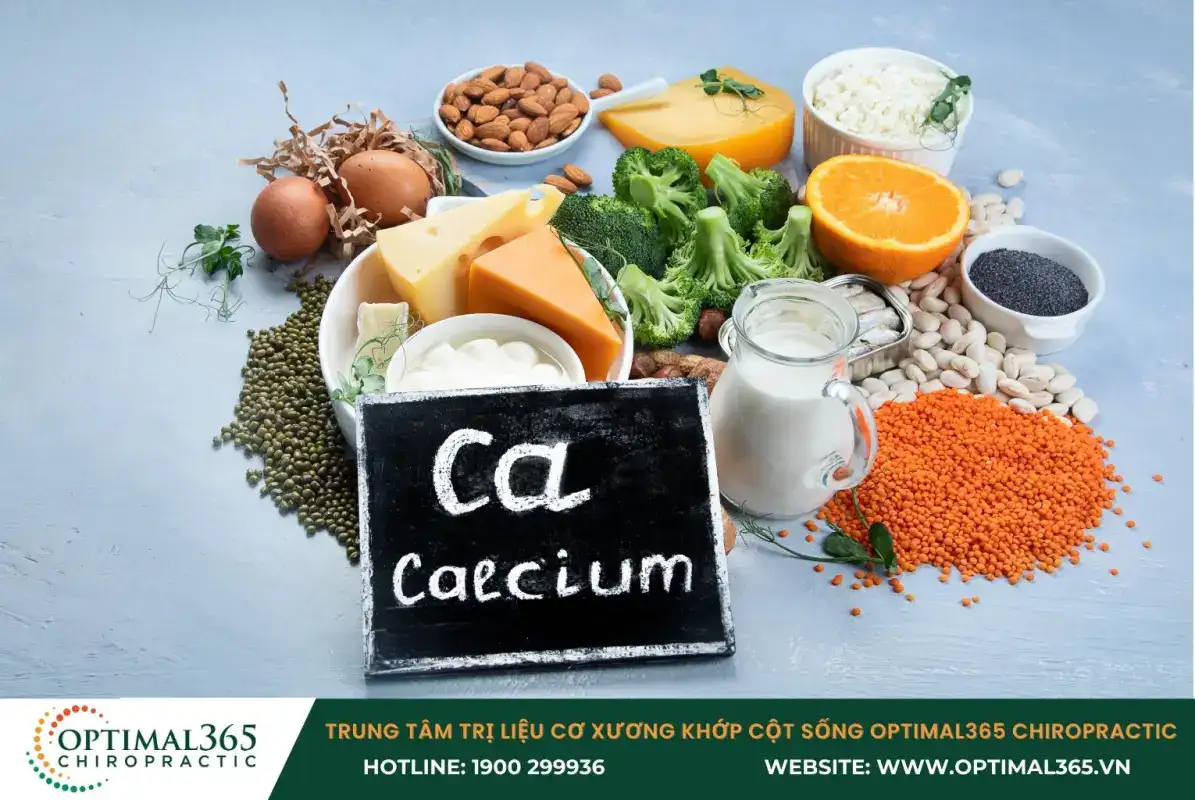 Canxi có nhiều trong sữa, hải sản, các loại đậu, cải bó xôi
