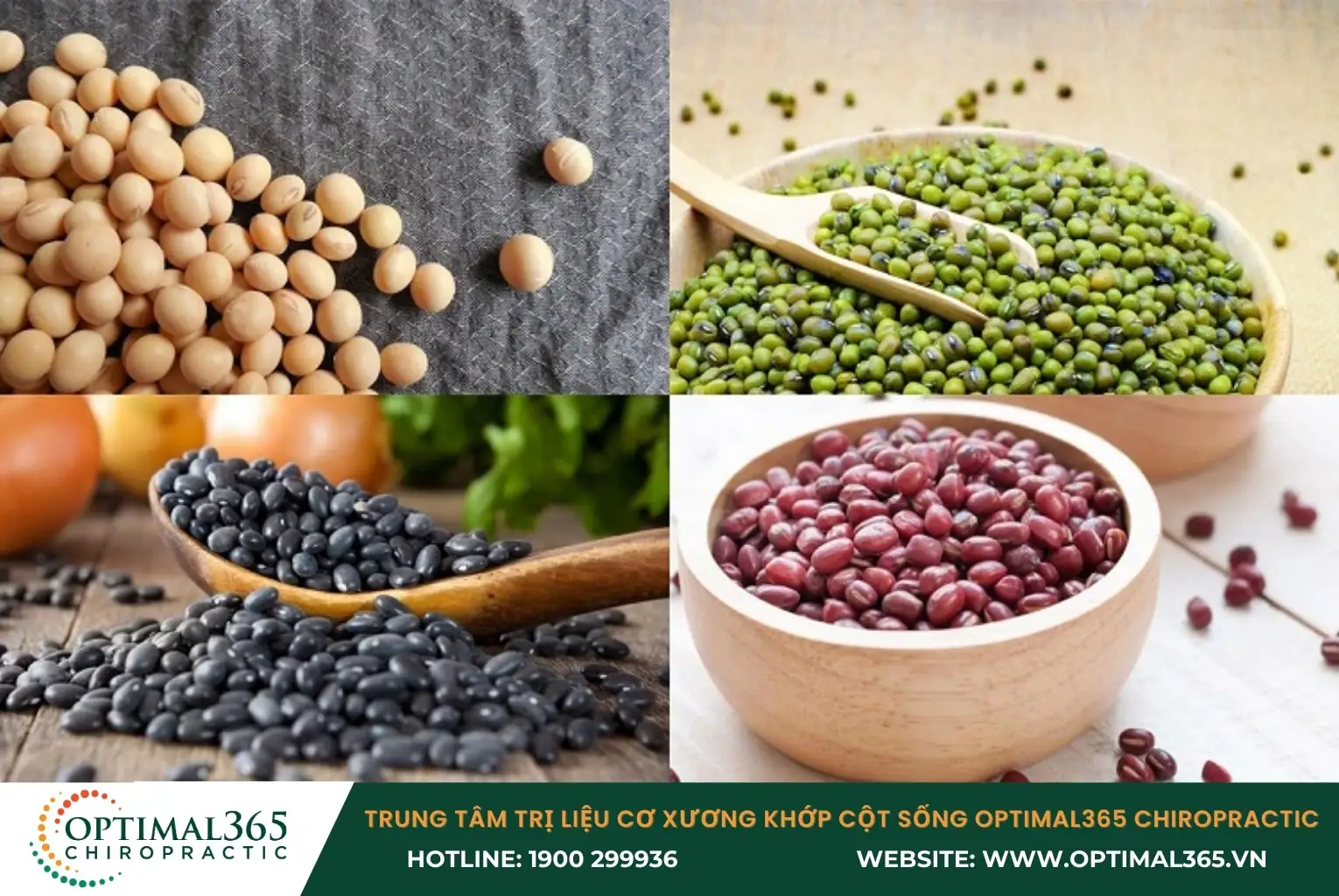 Các loại hạt và đậu là nguồn cung cấp canxi và các khoáng chất cần thiết tuyệt vời cho cơ thể