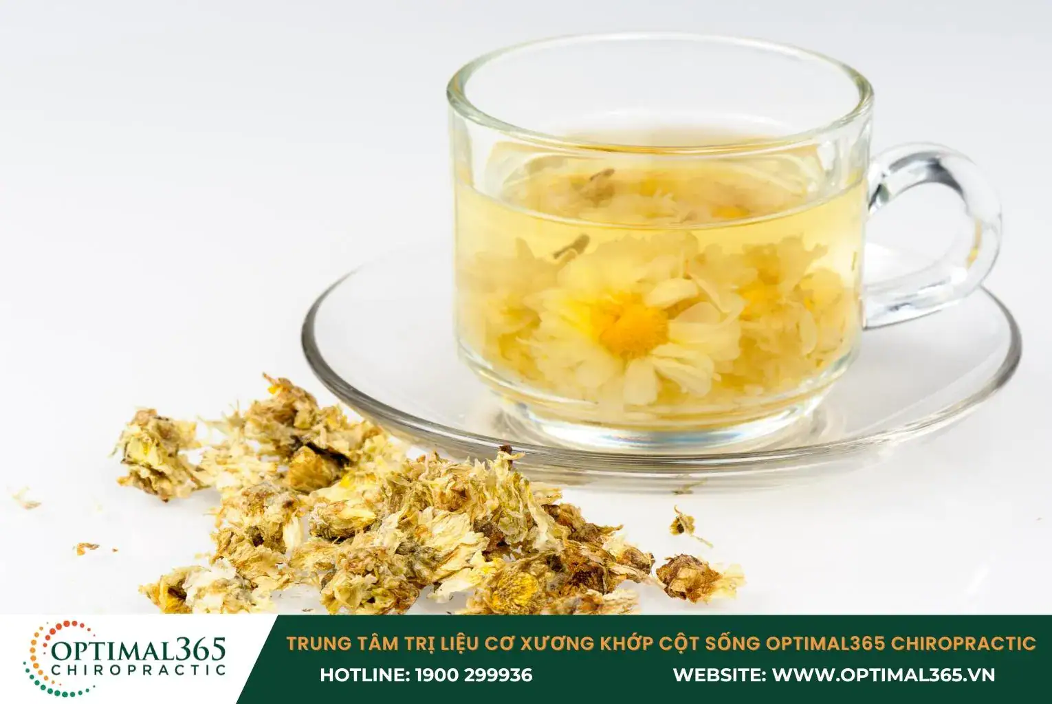 Trà hoa cúc có tác dụng giảm viêm, cải thiện chứng đau đầu