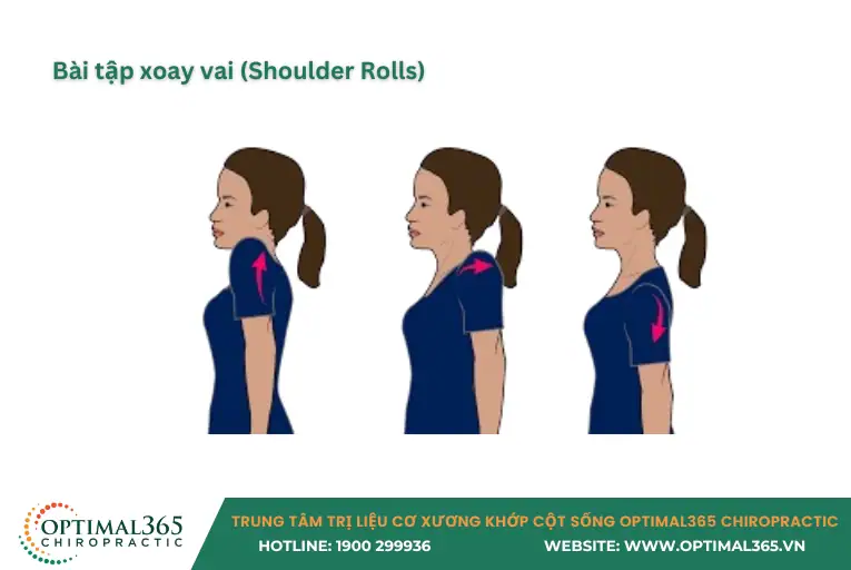 Bài tập xoay vai (Shoulder Rolls) giảm căng cơ vai
