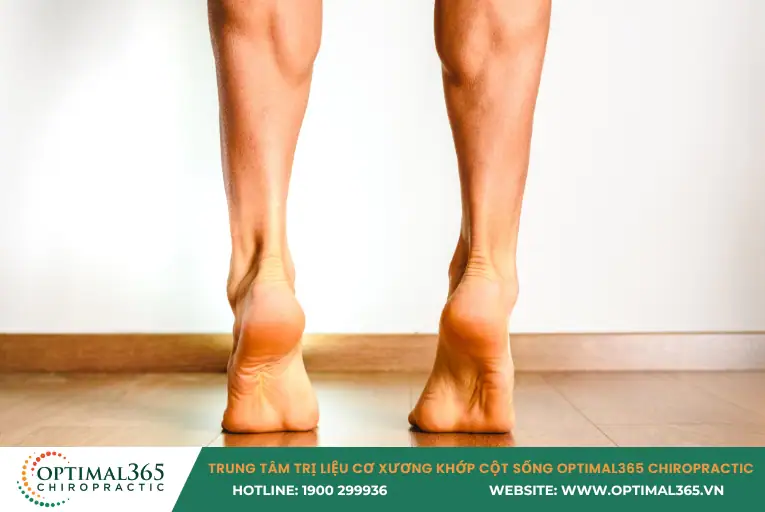 Nâng gót chân (Heel Raises)