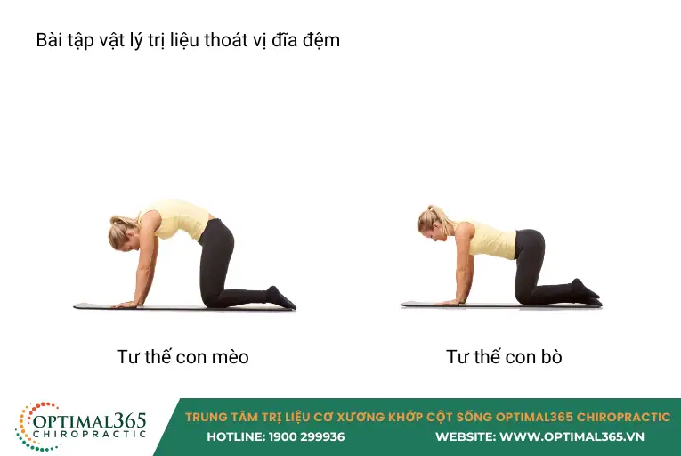 bài tập vật lý trị liệu thoát vị đĩa đệm 3