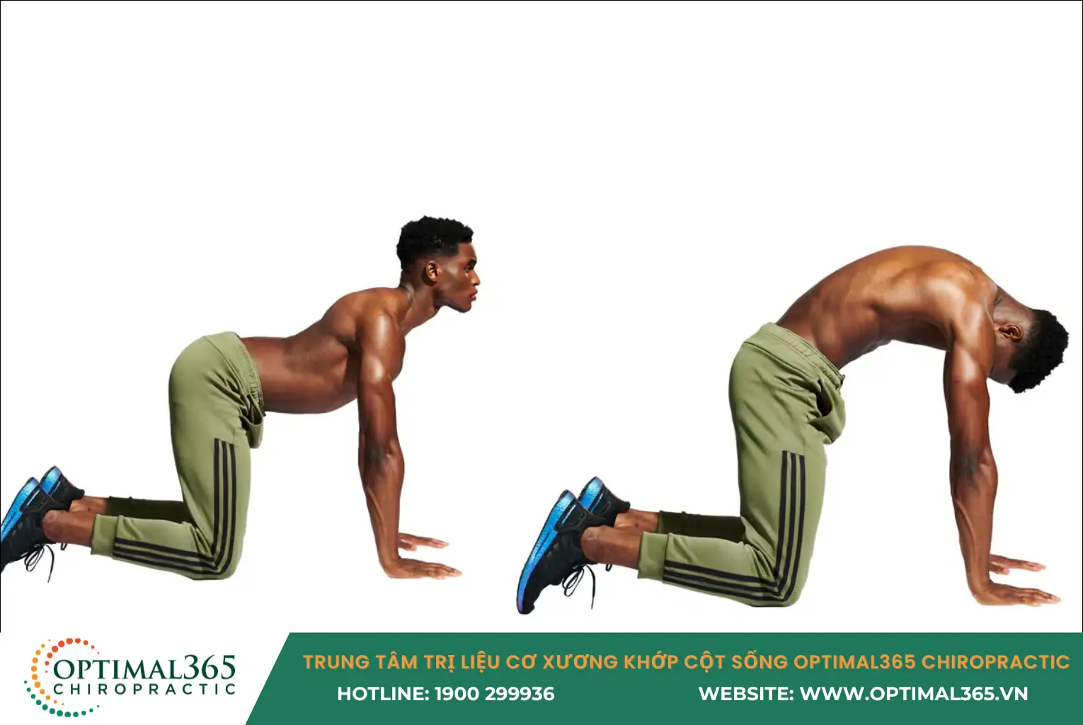 bai-tap-cho-vung-that-lung