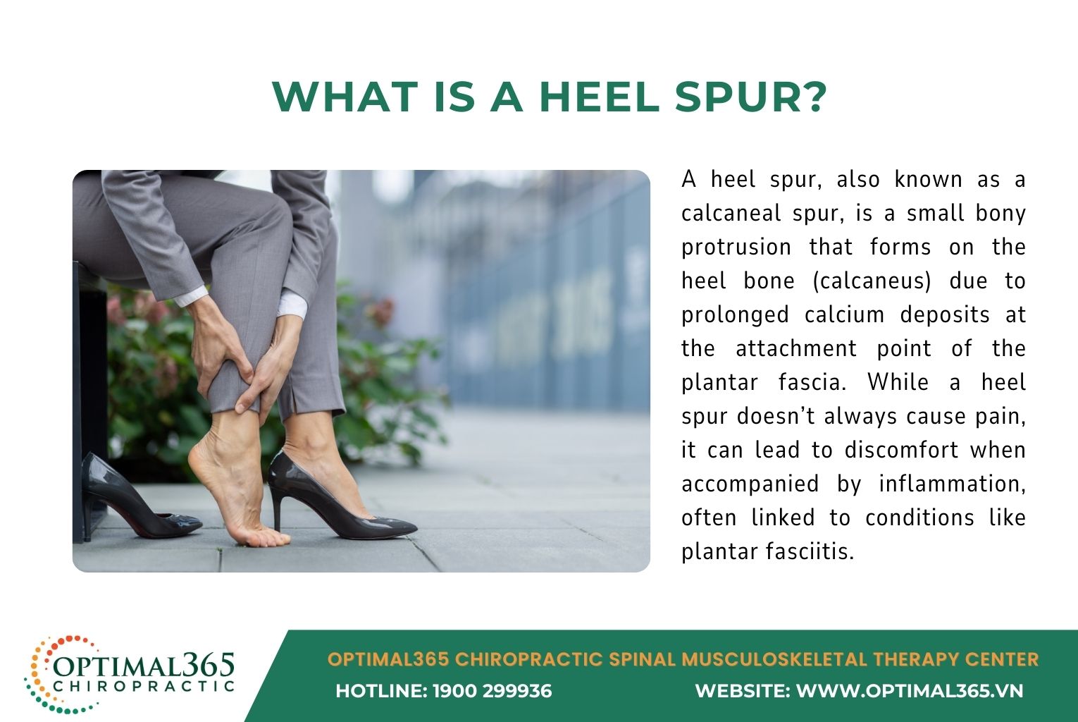 what is a heel spur
