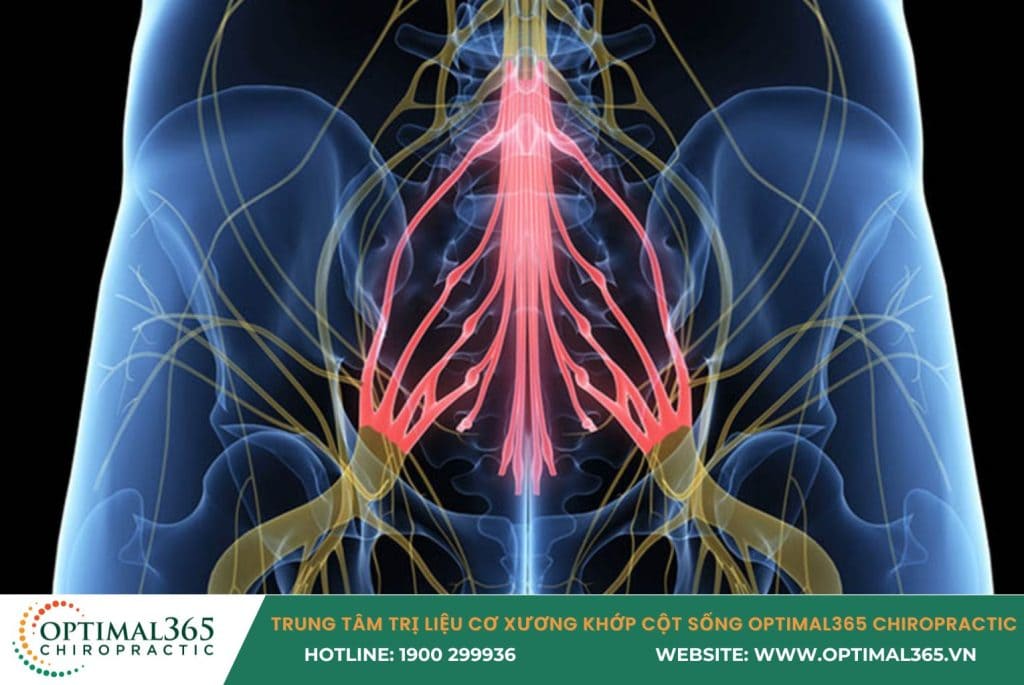 trượt đốt sống