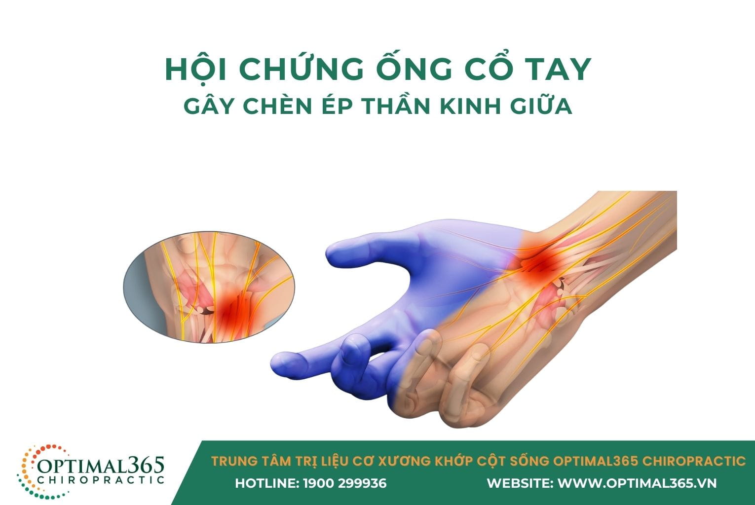 hoi-chung-ong-co-tay